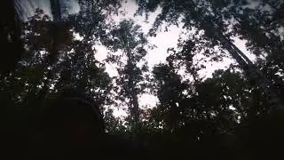 "КАК ОН ВЫЖИЛ, БЕЗ ПОНЯТИЯ..." @max.vashchenko @vashchenko_live @funnyvashchenko5932
