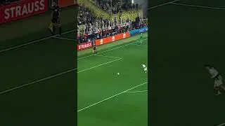 Tzolakis 🛑