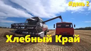 РАЗГАР УБОРКИ ОЗИМОЙ ПШЕНИЦЫ 2024 / ЛУЧШАЯ РАБОТА НА СВЕТЕ / СТРАДА В КРАСНОДАРСКОМ КРАЕ