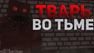 Тварь во тьме! | Migliore Stalker RP