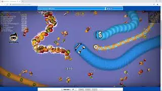 Worm Zone