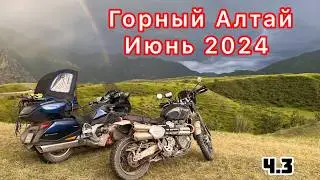 Красивые места Алтая на мотоцикле с собакой. Зачем нам автоколесо, и сколько еще выдержит Голда.