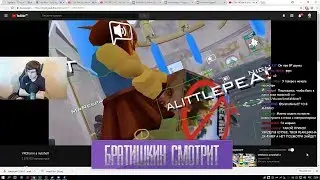 Братишкин смотрит VRChat