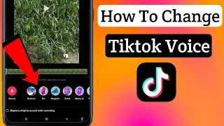 How To Get Voice Changer On TikTok (2022)