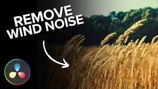 How to Remove Wind Noise in DaVinci Resolve