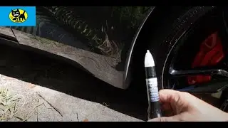 Revive Your Ride: ACDelco’s 4-in-1 Touch-Up Paint Magic! Demo on my C7 Corvette!