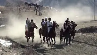 Скачки 2021