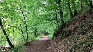 Yalova termal  Orman gezimiz