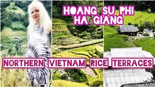 VIETNAM RICE TERRACES HOANG SU PHI Most Beautiful in HA GIANG EASY RIDER MOTORCYCLE Trip by ADEYTO