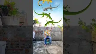 Shanakar ji Ke Damru Baje Har Har Mahadev Jai Shree Ram Hare Krishna RadheRam new 🙏 