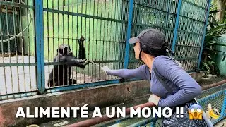 VISITE UN ZOOLÓGICO EN CUBA 🇨🇺 Te lo muestro todo!!