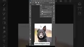 Photoshop Clone Stamp Tool 