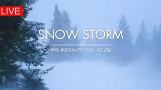 Snow Storm In Forest | 24/7 | Winter Storm & Howling Wind Sounds For Sleeping