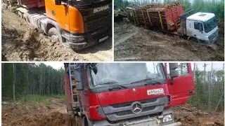 Антиреспект