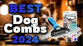 Top Best Dog Combs in 2024 & Buying Guide - Must Watch Before Buying!