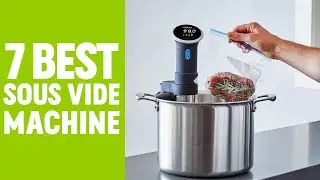 7 Best Sous Vide Machine