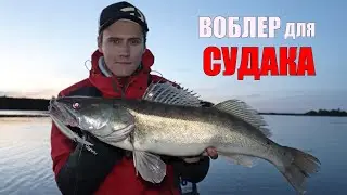 РЫБАЛКА без СНА на СУДАКА!!! ЗДОРОВЫЕ СУДАКИ клюют от ЗАКАТА до РАССВЕТА на Спиннинг!