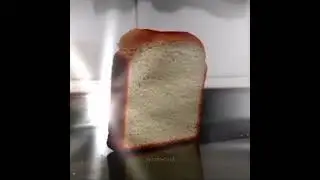 bred edit