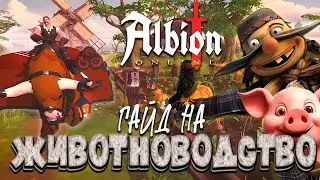 ГАЙД НА ЖИВОТНОВОДСТВО в Альбион Онлайн | Фермерство в Albion Online для новичков