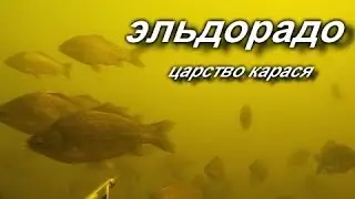 Подводная охота!!! Царство карася! Необыкновенное скопление карася!!! Тысячи рыб!!! Рыба повсюду!!!