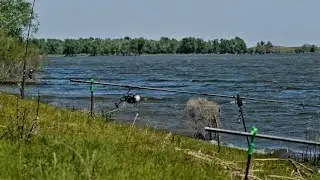 Три дня на реке. Открытие сезона по ловле сазана, на жмых и бойлы.