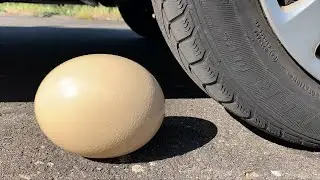 BIG EGG, Toothpaste Eruption from Giant Mtn Dew, Coca Cola, Balloons Orbeez vs Mentos Underground