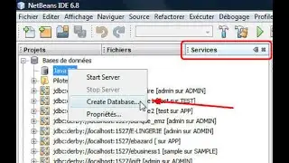 Comment intégrer une base de donnée dans vos projet NETBEANS (JAVA)