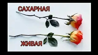 ЛЕПИМ РОЗУ ИЗ САХАРНОЙ МАСТИКИ🌹