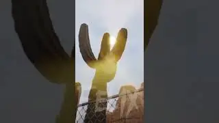 ИМБАААА!!!!