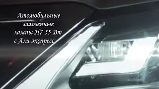 Автомобильные галогенные лампы 12 В 55 Вт H7 из Китая. Подробный обзор. Почему стоит покупать с Али.