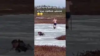 Собираем битых гусей на болоте. #охота #охотанагуся #болото