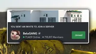 Belugas Discord Server is a Toxic Mess!