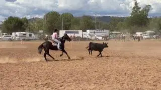 Eagle Hustler & Laura Sadler. 2022 Upper Horton Ladies Campdraft. (87)