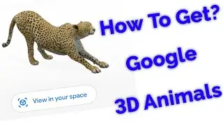 How to Get 3D Animals in Google-Google New Update AR Feature(View In Your Space)