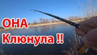 Рыбалка на реке Ловля щуки на спиининг с берега