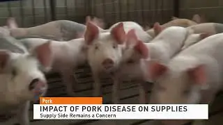 Impact of Pork Disease on Supplies