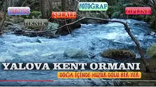 Yalova Kent Ormanı Erikli Şelalesi Teşvikiye