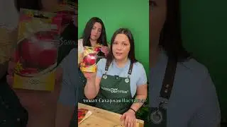 Томат родом из детства 