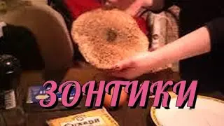 Зонтики. 
