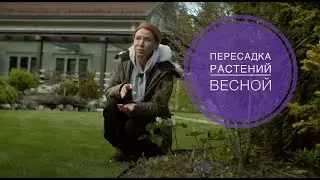 ПЕРЕСАДКА РАСТЕНИЙ ВЕСНОЙ: что Обязательно надо знать!