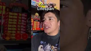 Lifespan of Concord