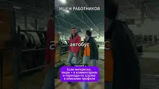 Ищем работников #вакансии #работа #россия