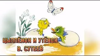 Цыплёнок и утёнок В Г Сутеев