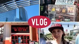 ЛАС ВЕГАС!!! LAS VEGAS❤️ что мы там делаем? Влог семьи Качановых. Путешествия.