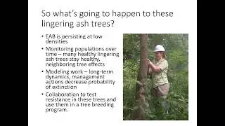 Long-term Impacts & Management of Emerald Ash Borer