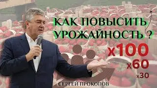 Как повысить урожайность ? | Прокопов Сергей