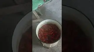 Сварили раков. Сколько же надо взять пива?