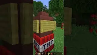 Minecraft TNT Bomb 