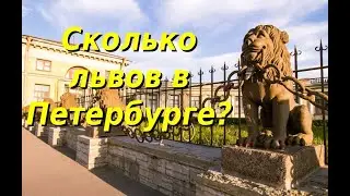 Сколько львов в Санкт Петербурге. Памятники и скульптуры львов в Санкт Петербурге.