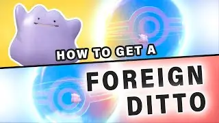 How to get a Foreign Ditto Trade ► Pokemon Scarlet & Violet